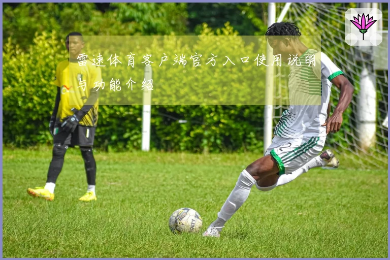 雷速体育客户端官方入口使用说明与功能介绍